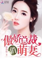 傲娇总裁，俏萌妻！