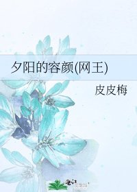 夕阳的容颜(网王)